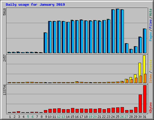 Daily usage for January 2019