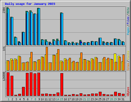 Daily usage for January 2023