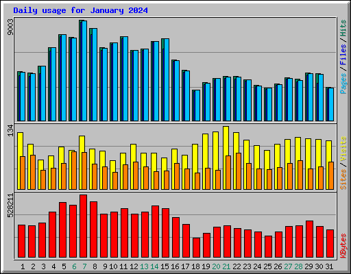Daily usage for January 2024
