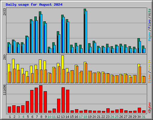 Daily usage for August 2024