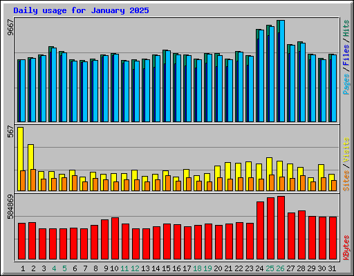 Daily usage for January 2025