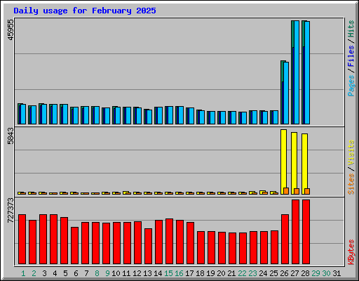 Daily usage for February 2025