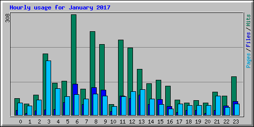 Hourly usage for January 2017