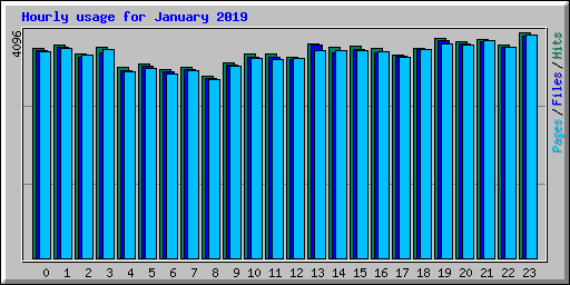 Hourly usage for January 2019