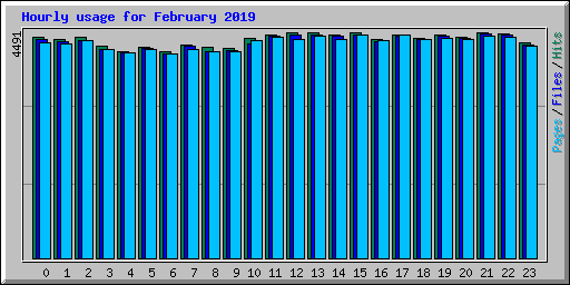 Hourly usage for February 2019