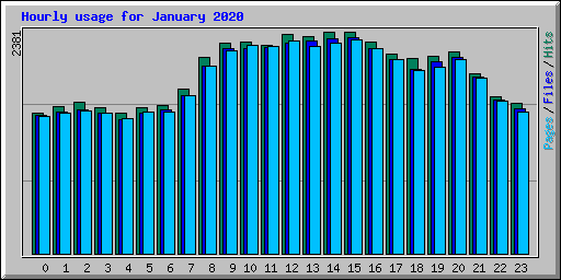 Hourly usage for January 2020