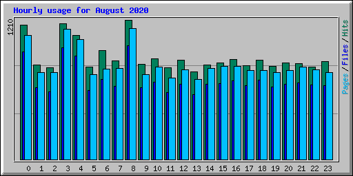 Hourly usage for August 2020