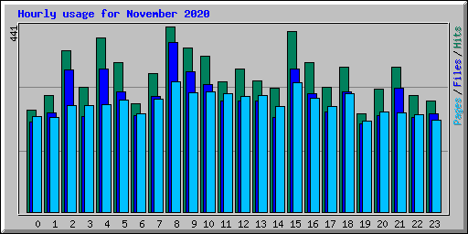 Hourly usage for November 2020