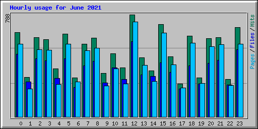 Hourly usage for June 2021