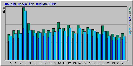 Hourly usage for August 2022