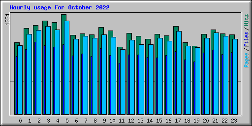 Hourly usage for October 2022