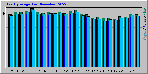 Hourly usage for November 2022