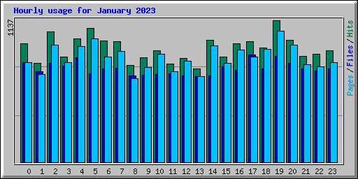 Hourly usage for January 2023
