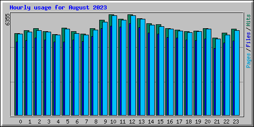 Hourly usage for August 2023