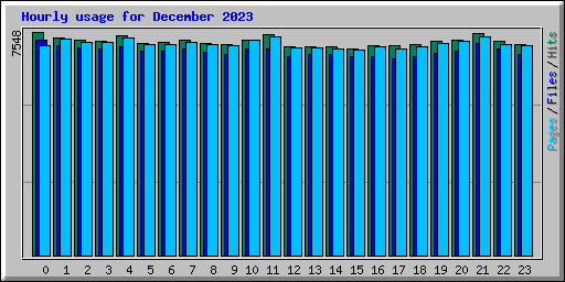 Hourly usage for December 2023