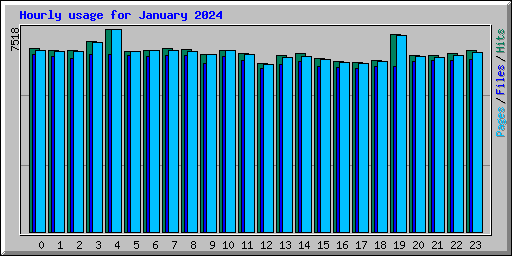 Hourly usage for January 2024