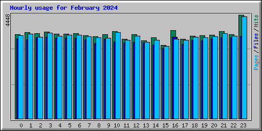 Hourly usage for February 2024