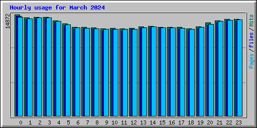Hourly usage for March 2024