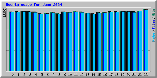 Hourly usage for June 2024