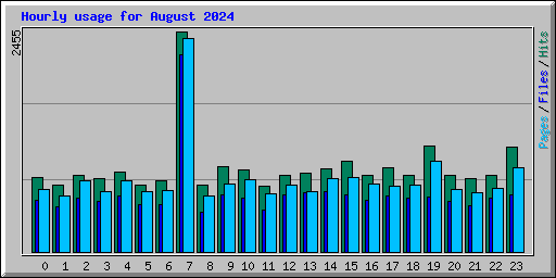 Hourly usage for August 2024