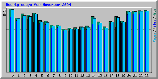 Hourly usage for November 2024