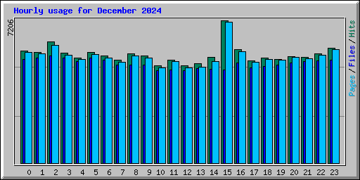 Hourly usage for December 2024
