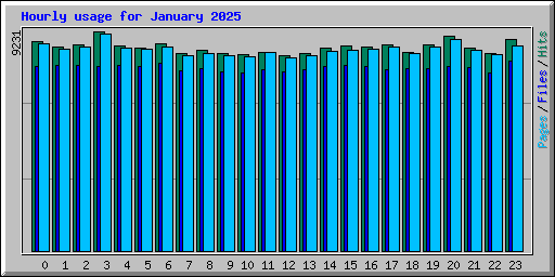 Hourly usage for January 2025