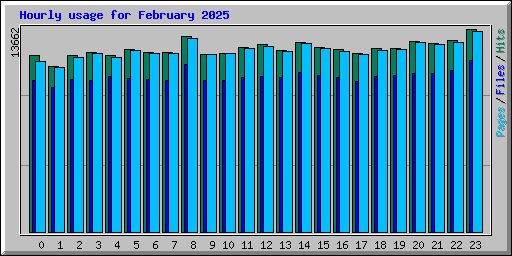 Hourly usage for February 2025