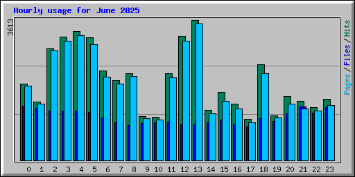Hourly usage for June 2025