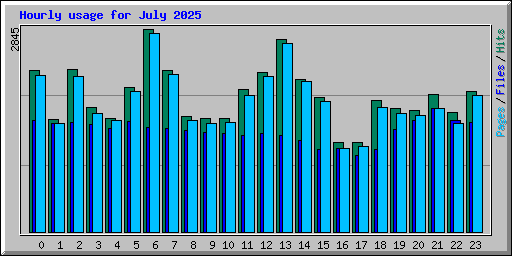 Hourly usage for July 2025