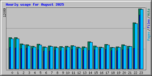Hourly usage for August 2025
