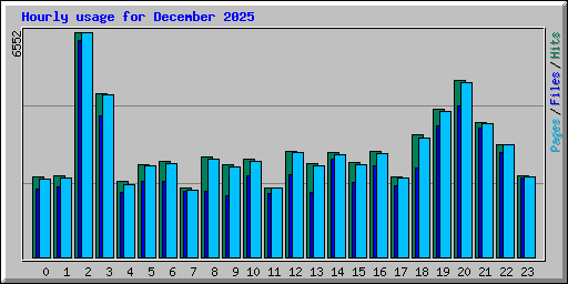 Hourly usage for December 2025