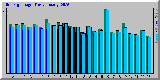 Hourly usage for January 2026